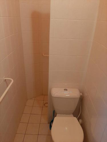 a small bathroom with a toilet and a shower at Apartmán U Bartoloměje in Verneřice