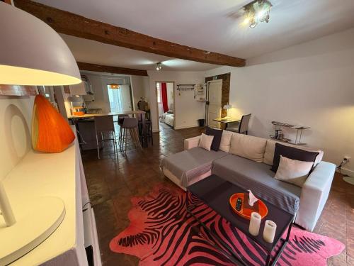 - un salon avec un canapé et un tapis zébré dans l'établissement Appartement hyper-centre - Pont Neuf - St Cyprien, à Toulouse