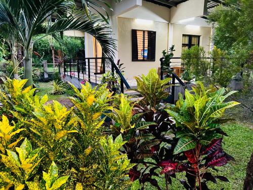 Taman di luar Andrei Holiday House