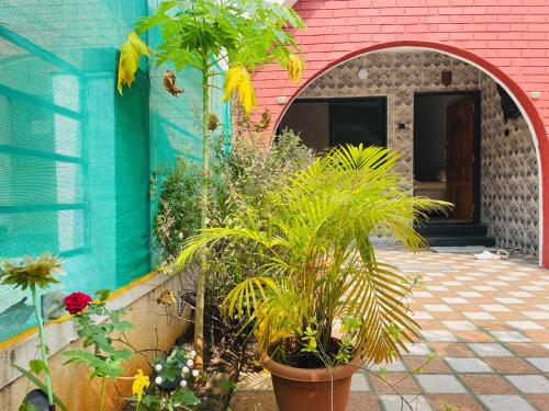 Κήπος έξω από το HOSTEL LIVHUB- Perfect stay for working professionals in Viman Nagar