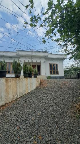 a white house with potted plants in front of it at HillNest Homes in Ambalavayal