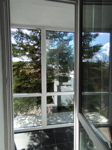 a window with a view of a tree at Leon in Biała Podlaska