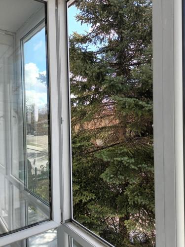 a window with a view of a tree at Leon in Biała Podlaska