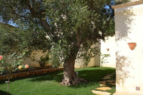 Imagen de la galería de Masseria Le Celline, en Nardò