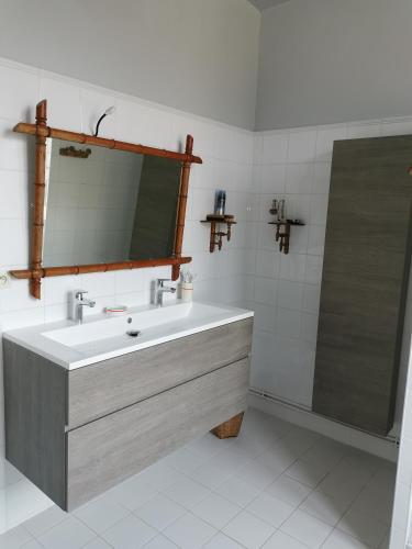 une salle de bain avec un lavabo et un miroir dans l'établissement Chambres à louer centre-ville, au Mans