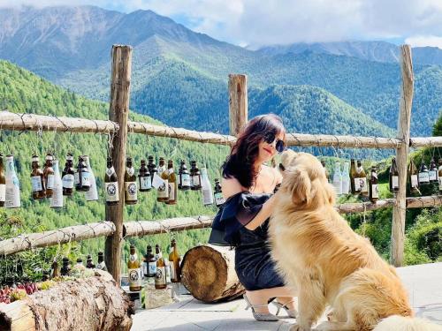 a woman sitting on a stump with a dog at Siguniangshan Town Tingshan Wild Luxury B&B in Mount Siguniang