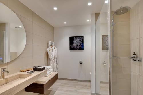 a bathroom with a shower and a sink at La Côte Saint Jacques in Joigny