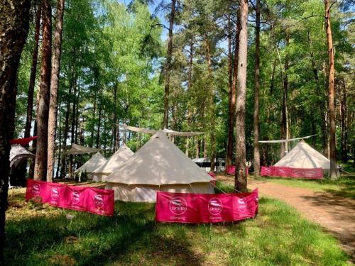 a group of tents in the grass in a forest at Caravana Juliana Hobby 545 z widokiem na Jezioro in Swaderki