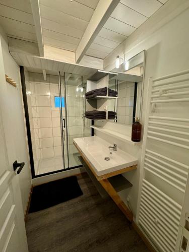 une salle de bain blanche avec un lavabo et une douche dans l'établissement Superbe logement 5 personnes Chalet 4, à Banassac