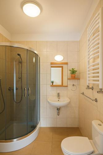 a bathroom with a shower toilet and a sink at Nad brzegiem Bałtyku in Sarbinowo