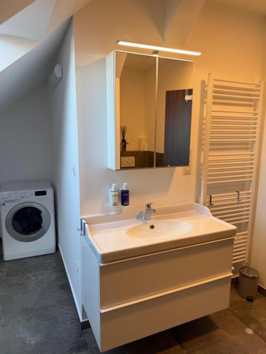 a bathroom with a sink and a washing machine at Rezidence 19 in Valtice