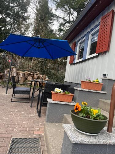 a blue umbrella on a patio with a pot of flowers at Ferienhaus Talblick, im Luftkurort Finsterbergen in Friedrichroda