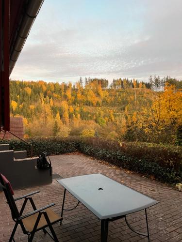 a table and a chair on a patio with a view of a forest at Ferienhaus Talblick, im Luftkurort Finsterbergen in Friedrichroda