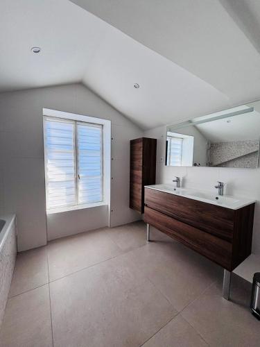 une salle de bain avec un lavabo et un grand miroir dans l'établissement Charmant duplex Albigny sur Saône, à Neuville-sur-Saône