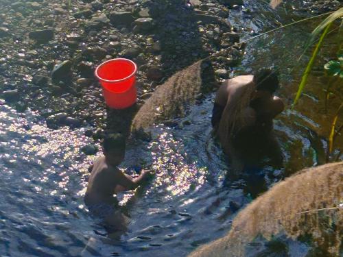 two boys in the water with a red bucket at 淳安千岛湖乡庐怡陌民宿 in Thousand Island Lake