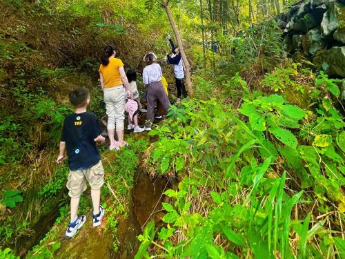a group of people walking on a trail in the woods at 淳安千岛湖乡庐怡陌民宿 in Thousand Island Lake