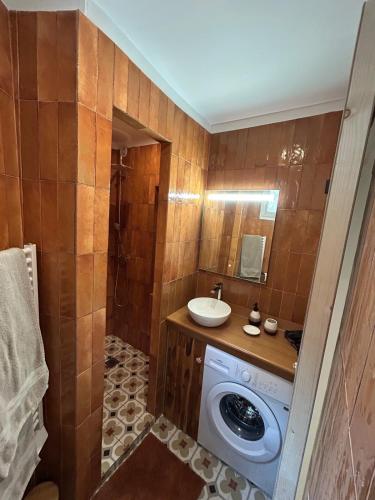 une salle de bain avec une machine à laver et un lavabo dans l'établissement Studio au cœur du village, à Gémenos