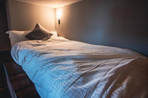 Rimba Tokyo Oshiage, Skytree view, 3BR 80m2