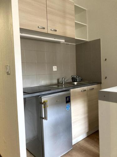une cuisine avec un évier et un réfrigérateur en acier inoxydable dans l'établissement T1 with loggiaJapanese Garden-TBS, à Toulouse