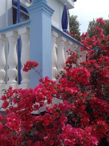 Taman di luar Meltemia Studio Samos near the beach
