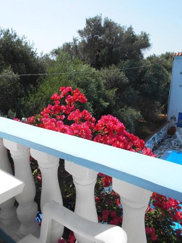 Balkoni atau teres di Meltemia Studio Samos near the beach