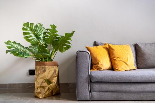 a plant in a vase next to a couch at Studio LOFT12 in Kielce