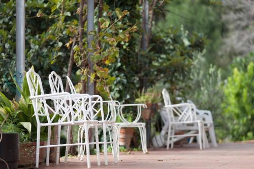 a group of white chairs sitting on a sidewalk at MASIA CAN SUNYER AGROTURISMO in La Garriga