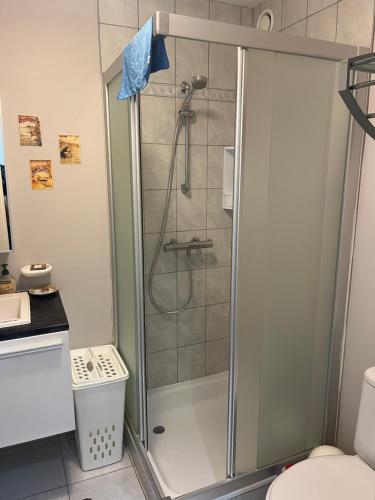 Koupelna v ubytování Prachtig appartement in het toeristische centrum voor max 6 pers gratis 2 fietsen ter beschikking