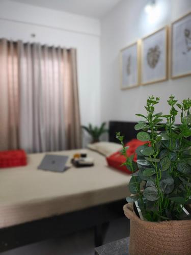a bedroom with a bed and a potted plant at The Pinteresty Home in Bengaluru