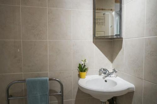 a bathroom with a sink and a mirror at South Devon - River Dart Views - Free Parking - Pet Friendly in Galmpton-on-the-Dart