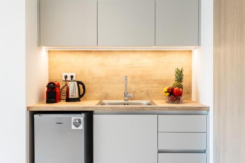 a kitchen with a sink and a counter top at Grec Suites Dafni, Athens by GrecCollection in Athens