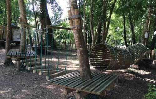 a park with two swings around a tree at Maison Neuve, relaxing countryside home with pool in Chillac