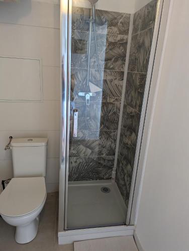 une douche dans une salle de bain avec toilettes dans l'établissement Appartement vue mer toute commodité, à La Seyne-sur-Mer