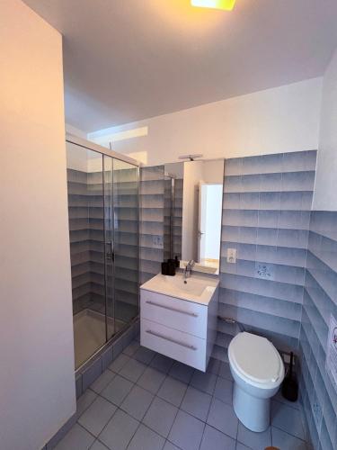 une salle de bain avec toilettes, douche et lavabo dans l'établissement Studio-Château Castelnaud-Au bord de la rivière, à Castelnaud-la-Chapelle