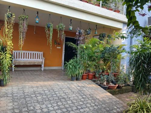 Puutarhaa majoituspaikan The Basic ulkopuolella