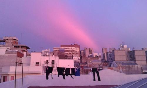 Montevideo Chic Hostelの宿泊客