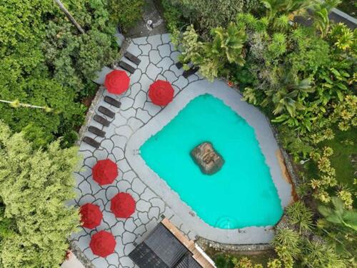 an aerial view of a swimming pool in a garden at Rancho Rio Perlas in Cartago