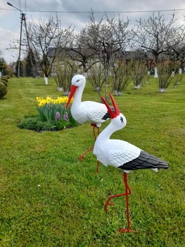 two statues of birds standing in the grass at Agroturystyka Krysia Pilszcz in Pilszcz