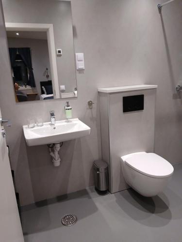 a bathroom with a sink and a toilet at Pálína Cottage studio in Selfoss