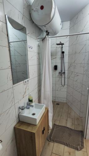 a bathroom with a sink and a mirror and a shower at A&E Houses in Palanga