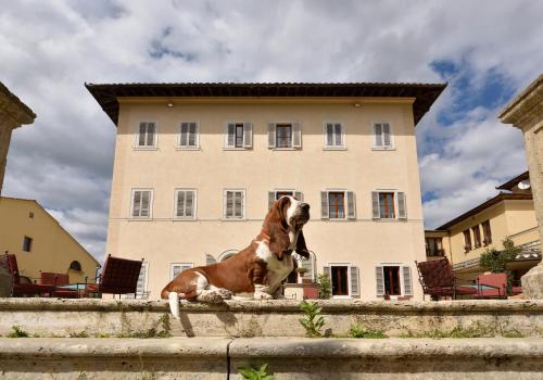 a dog sitting on a wall in front of a building at Villa Sabolini in Colle Val D'Elsa