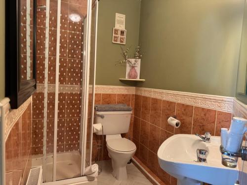 a bathroom with a toilet and a shower and a sink at Donnybrook Hall in Dublin