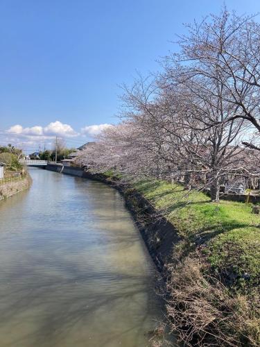 a river with trees on the side of it at Narita Airport Samurai Guesthouse -In front of Train Station- in Katori