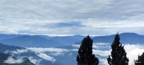 a view of a mountain with two trees in the foreground at Rehan Homestay in Pedong