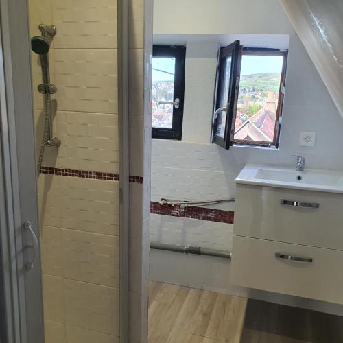 une salle de bain avec une douche et un lavabo et une fenêtre dans l'établissement Studio atypique avec superbe vue, à Wasselonne