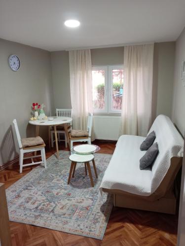 ein Wohnzimmer mit einem Bett und einem Tisch in der Unterkunft Zen apartman in Zaječar