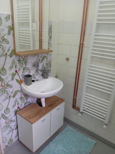 ein Badezimmer mit Waschbecken und Dusche in der Unterkunft Zen apartman in Zaječar