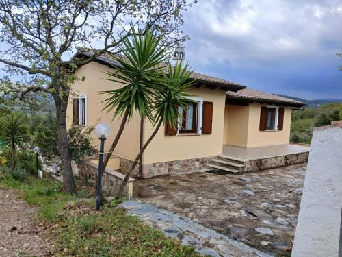 a small house with a palm tree in front of it at Da Nonna Maria Ozieri in Ozieri
