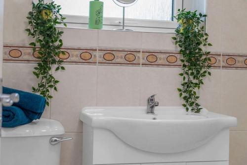 a bathroom with a sink and a toilet with two plants at Vacant Nests The Grampian Free Wifi in Wishaw