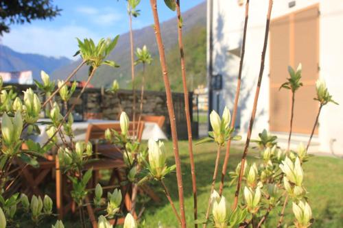 a view from the garden of a house at Agli Chalet Bosco in Domodossola